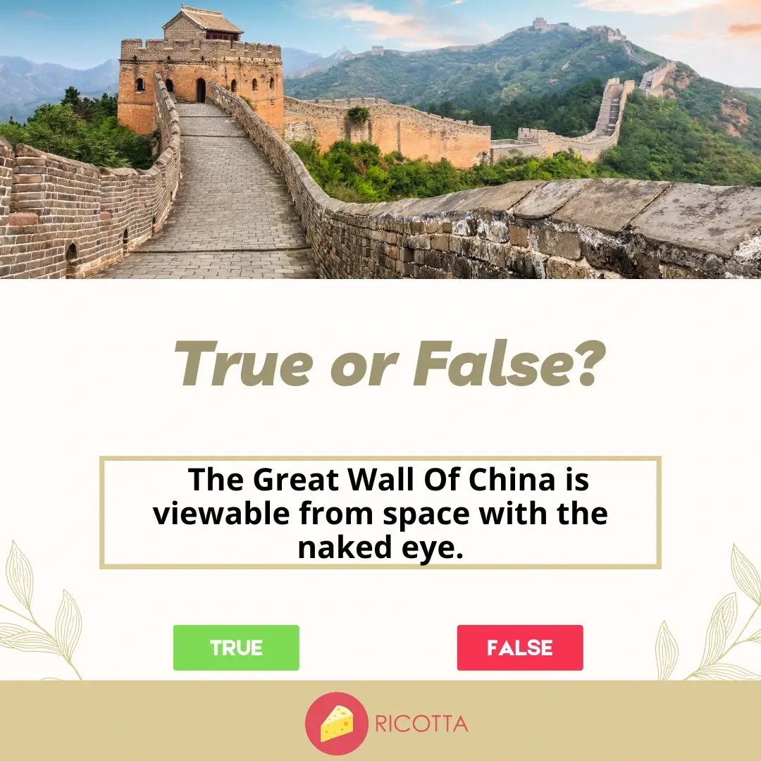 170+ True or False Questions With Answers 2023